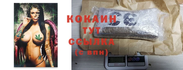 винт Елизово