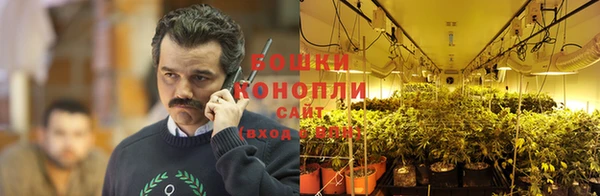 винт Елизово