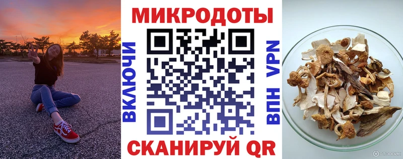 Купить  Кохма  Галлюциногенные грибы Psilocybine cubensis 